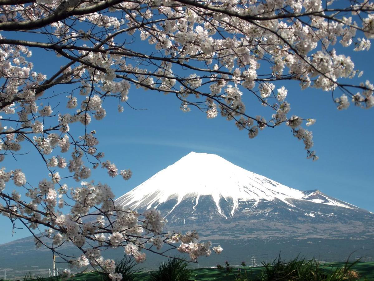 Fuji-Shi Business Hotel Furuiya Ryokan Φούτζι Εξωτερικό φωτογραφία